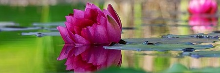 Energie update Witte Spiegel levenspad 11 - 23 april 2021: Trouw zijn aan de nieuwe jij